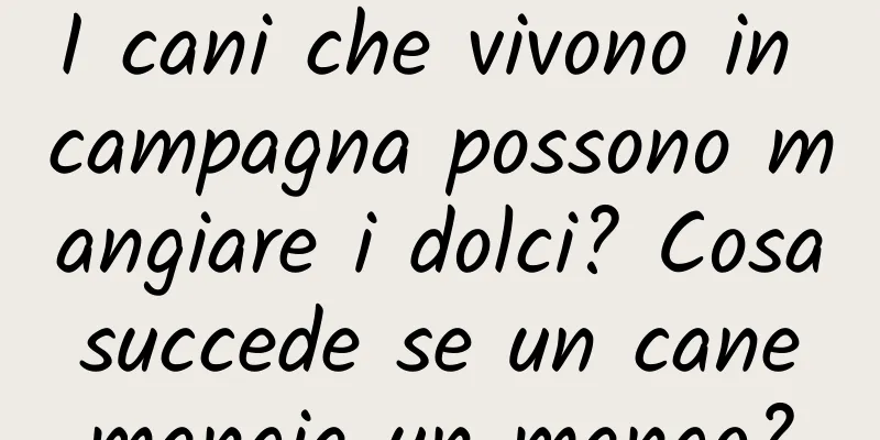 I cani che vivono in campagna possono mangiare i dolci? Cosa succede se un cane mangia un mango?