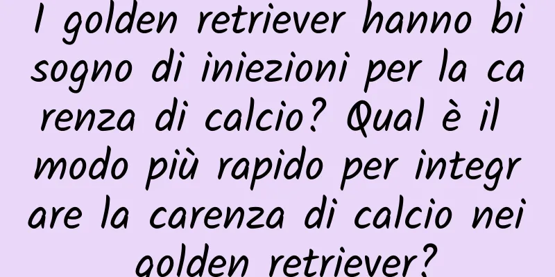 I golden retriever hanno bisogno di iniezioni per la carenza di calcio? Qual è il modo più rapido per integrare la carenza di calcio nei golden retriever?