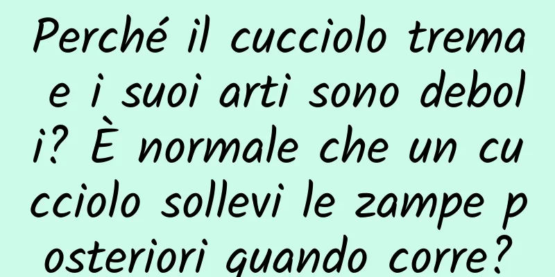 Perché il cucciolo trema e i suoi arti sono deboli? È normale che un cucciolo sollevi le zampe posteriori quando corre?