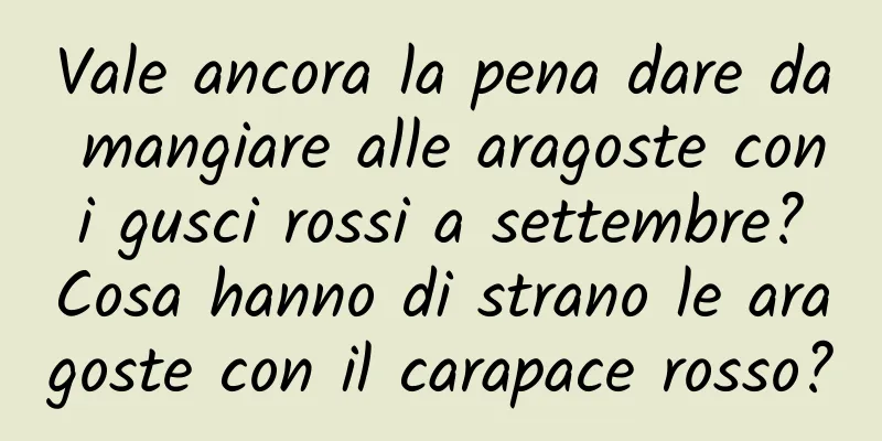 Vale ancora la pena dare da mangiare alle aragoste con i gusci rossi a settembre? Cosa hanno di strano le aragoste con il carapace rosso?