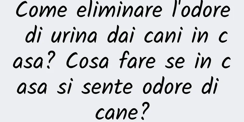 Come eliminare l'odore di urina dai cani in casa? Cosa fare se in casa si sente odore di cane?