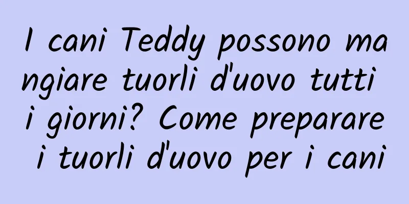 I cani Teddy possono mangiare tuorli d'uovo tutti i giorni? Come preparare i tuorli d'uovo per i cani