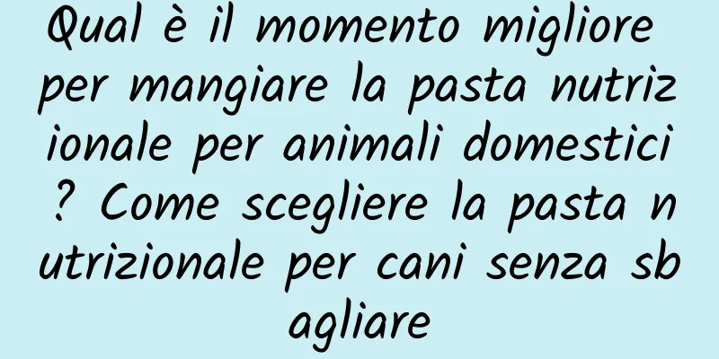 Qual è il momento migliore per mangiare la pasta nutrizionale per animali domestici? Come scegliere la pasta nutrizionale per cani senza sbagliare