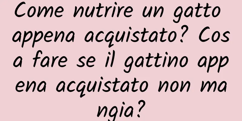 Come nutrire un gatto appena acquistato? Cosa fare se il gattino appena acquistato non mangia?