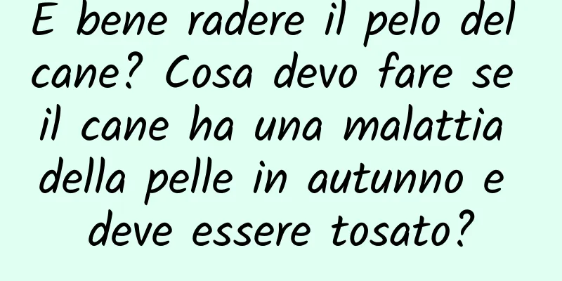 È bene radere il pelo del cane? Cosa devo fare se il cane ha una malattia della pelle in autunno e deve essere tosato?