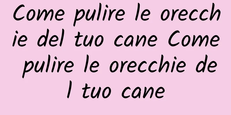 Come pulire le orecchie del tuo cane Come pulire le orecchie del tuo cane