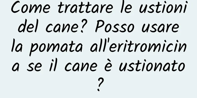 Come trattare le ustioni del cane? Posso usare la pomata all'eritromicina se il cane è ustionato?