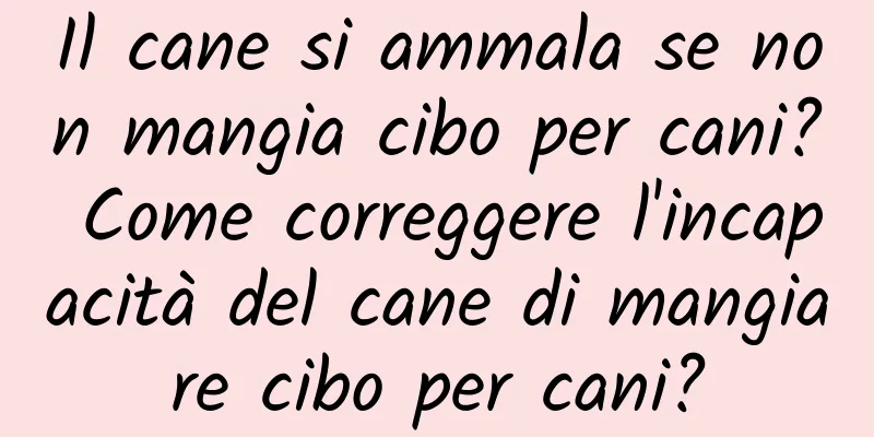 Il cane si ammala se non mangia cibo per cani? Come correggere l'incapacità del cane di mangiare cibo per cani?