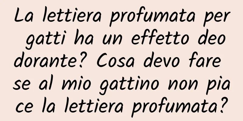 La lettiera profumata per gatti ha un effetto deodorante? Cosa devo fare se al mio gattino non piace la lettiera profumata?