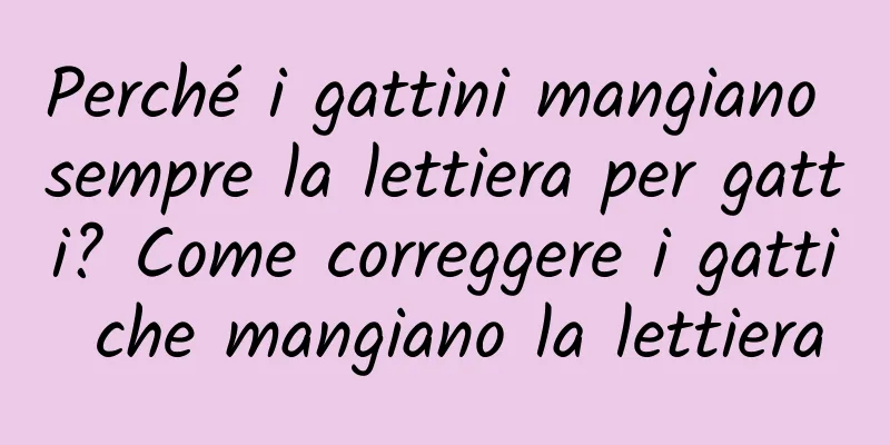 Perché i gattini mangiano sempre la lettiera per gatti? Come correggere i gatti che mangiano la lettiera