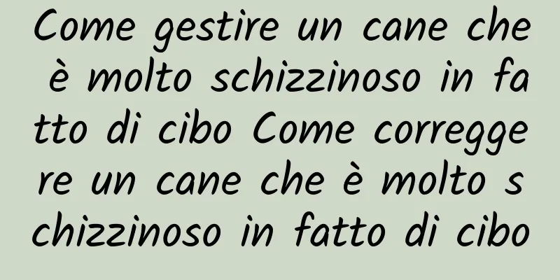 Come gestire un cane che è molto schizzinoso in fatto di cibo Come correggere un cane che è molto schizzinoso in fatto di cibo