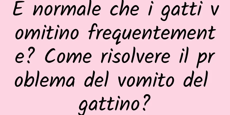 È normale che i gatti vomitino frequentemente? Come risolvere il problema del vomito del gattino?