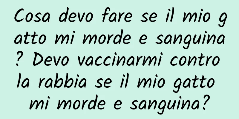 Cosa devo fare se il mio gatto mi morde e sanguina? Devo vaccinarmi contro la rabbia se il mio gatto mi morde e sanguina?