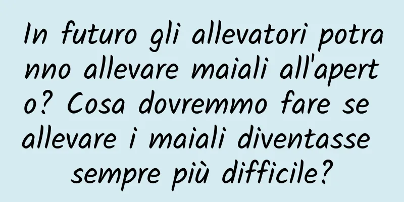 In futuro gli allevatori potranno allevare maiali all'aperto? Cosa dovremmo fare se allevare i maiali diventasse sempre più difficile?