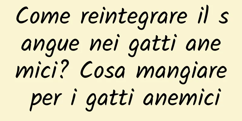 Come reintegrare il sangue nei gatti anemici? Cosa mangiare per i gatti anemici