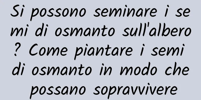 Si possono seminare i semi di osmanto sull'albero? Come piantare i semi di osmanto in modo che possano sopravvivere