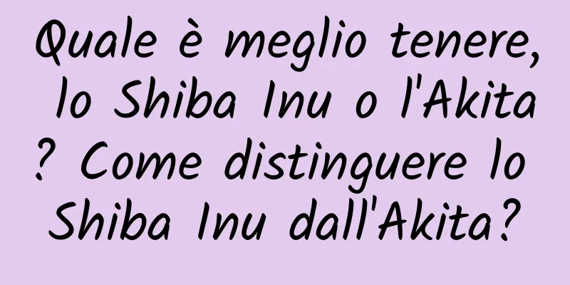 Quale è meglio tenere, lo Shiba Inu o l'Akita? Come distinguere lo Shiba Inu dall'Akita?