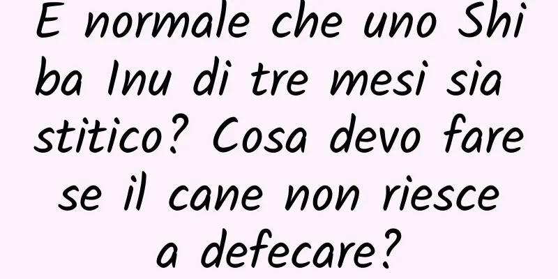 È normale che uno Shiba Inu di tre mesi sia stitico? Cosa devo fare se il cane non riesce a defecare?