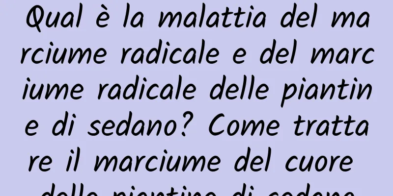Qual è la malattia del marciume radicale e del marciume radicale delle piantine di sedano? Come trattare il marciume del cuore delle piantine di sedano