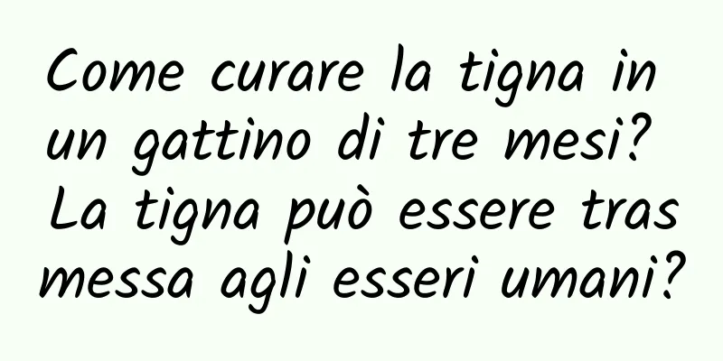 Come curare la tigna in un gattino di tre mesi? La tigna può essere trasmessa agli esseri umani?