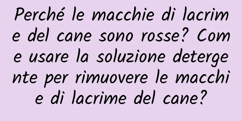 Perché le macchie di lacrime del cane sono rosse? Come usare la soluzione detergente per rimuovere le macchie di lacrime del cane?
