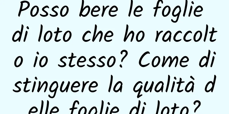Posso bere le foglie di loto che ho raccolto io stesso? Come distinguere la qualità delle foglie di loto?