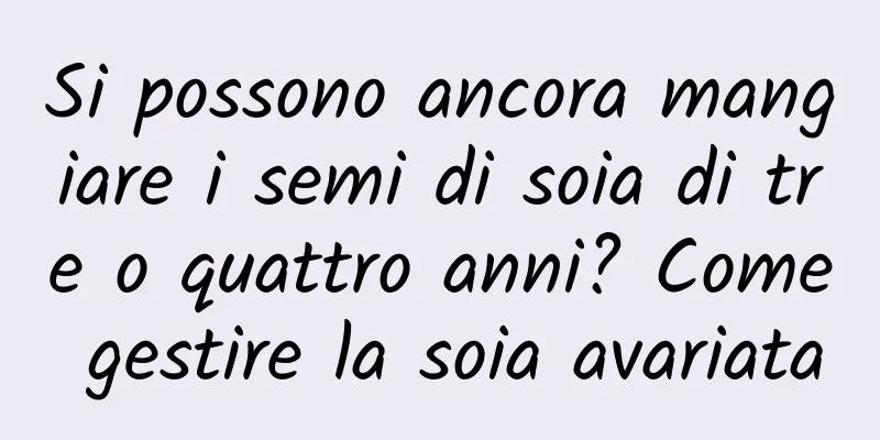 Si possono ancora mangiare i semi di soia di tre o quattro anni? Come gestire la soia avariata