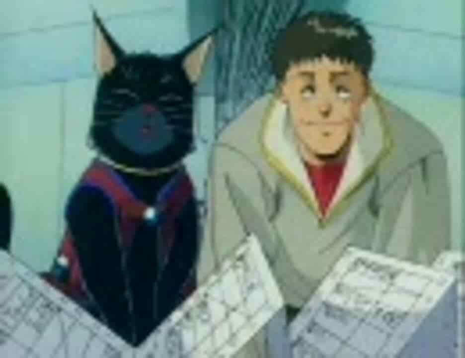 Il fascino e le recensioni di "The Enemy is a Pirate: A Feast of Cats": un anime imperdibile per gli amanti dei gatti
