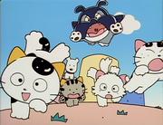 Il fascino e le recensioni di "Tama on Third Street, Do you know my Tama?"