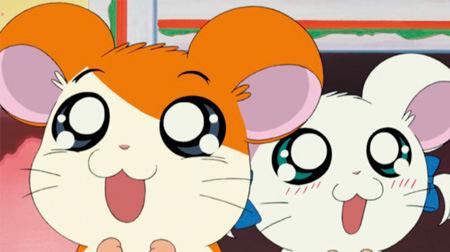 Hamtaro: una recensione approfondita della storia di guarigione e avventura del criceto