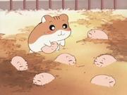 Hamster Club: una valutazione approfondita dei personaggi attraenti e della profondità della storia