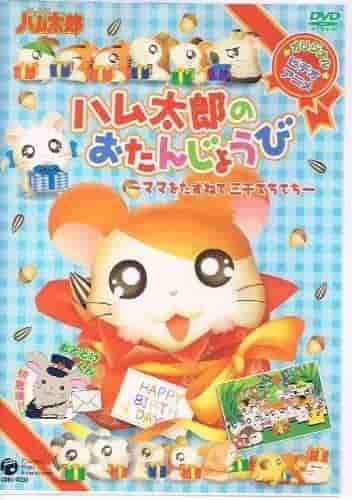 Il compleanno di Hamtaro - Alla ricerca della mamma: un viaggio emozionante e una festa di compleanno
