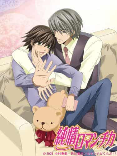 Il fascino e le recensioni di "Junjo Romantica": un'opera commovente che i fan di BL devono vedere