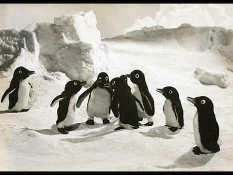 Un'analisi approfondita del fascino e dell'emozione di Penguin Boy Lulu e Kiki!