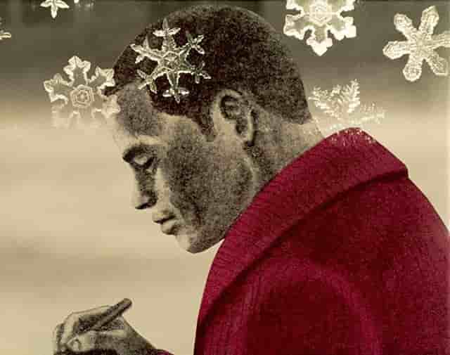 Recensione di "The Life of a Poet": una storia commovente e il suo fascino