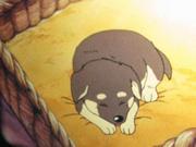 Grazie! Serve the Guide Dog: un'analisi approfondita della storia toccante e del fascino del personaggio