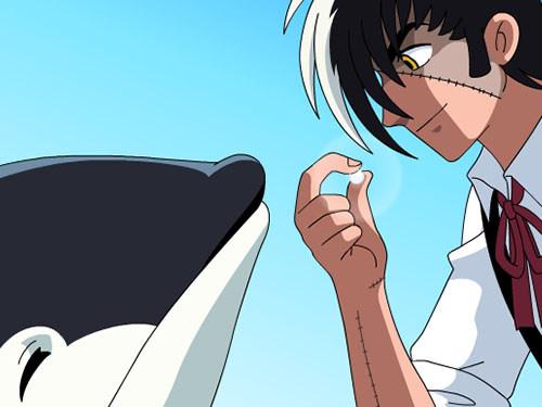 Black Jack Internet Edition: Nuovo fascino e valutazione del classico