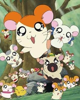 L'attrattiva e la valutazione dell'anime speciale di Hamtaro