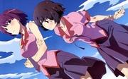 Una recensione approfondita della versione con commento ai personaggi della serie Monogatari! Quali sono i nuovi aspetti affascinanti di questi affascinanti personaggi?