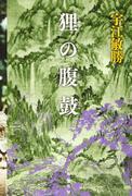 Recensione di "Tanuki no Harada": una storia affascinante e personaggi profondi