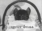 Recensione di "Kitten's Sickness": una storia commovente e una musica meravigliosa