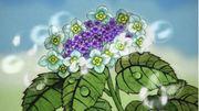 "Summer Love Flowers": rivalutare la canzone commovente di tutti