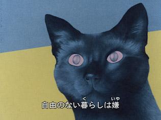 Cat's Eye Love: il fascino e le recensioni della versione Minna no Uta