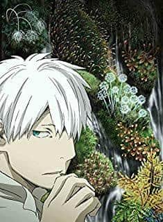 Mushishi: La seconda metà della stagione: il fascino di una storia ampliata e di immagini meravigliose