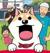 Mia cara Mooko: qual è il fascino di questo anime commovente e rilassante che descrive la vita quotidiana di un gatto?