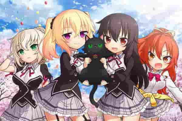 Nora, la principessa e il cuore di gatto randagio: una recensione dei personaggi affascinanti e della storia commovente