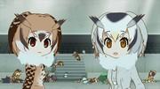 Il fascino e le impressioni della collaborazione Kemono Friends x Anisama 2017