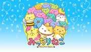Recensione di "Mitchiri Neko": un anime imperdibile per gli amanti dei gatti!