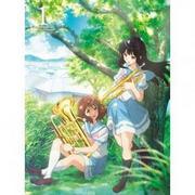 Suono! Euphonium 2 Cortometraggio non trasmesso - Valutazione e appeal della serie Euphonium OVA