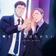 Valutazione e impressioni dell'edizione limitata con DVD anime di "Twittering Birds Never Fly 7"